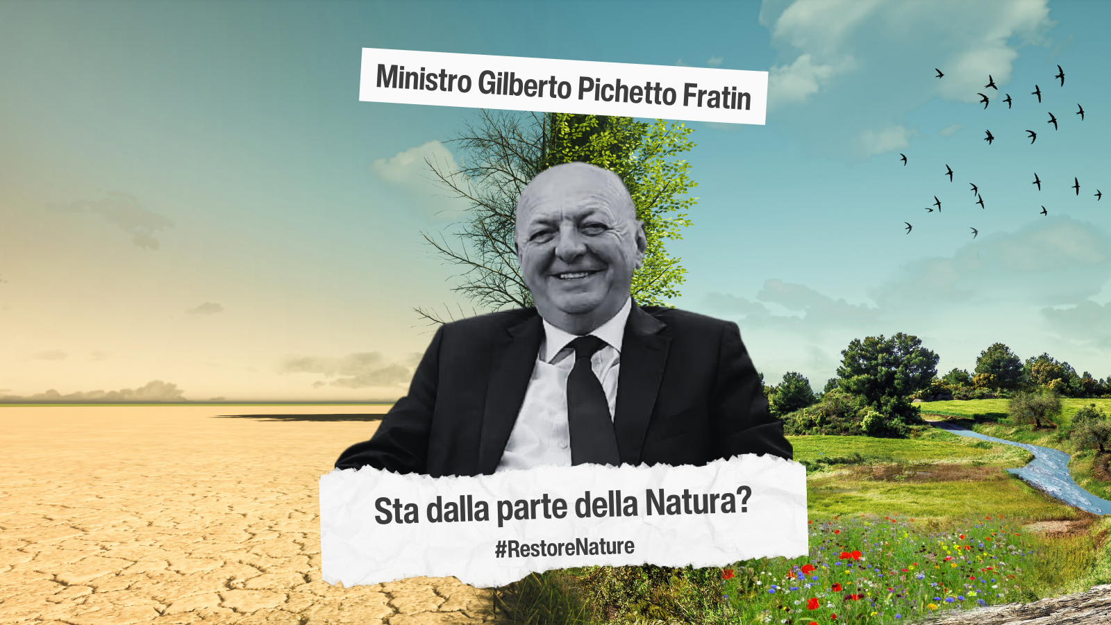 “NATURE RESTORATION LAW”: 28 associazioni scrivono al ministro Fratin